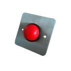 RGL stainless steel plate with large red button